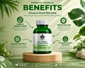 Pre + Probiotic Complex