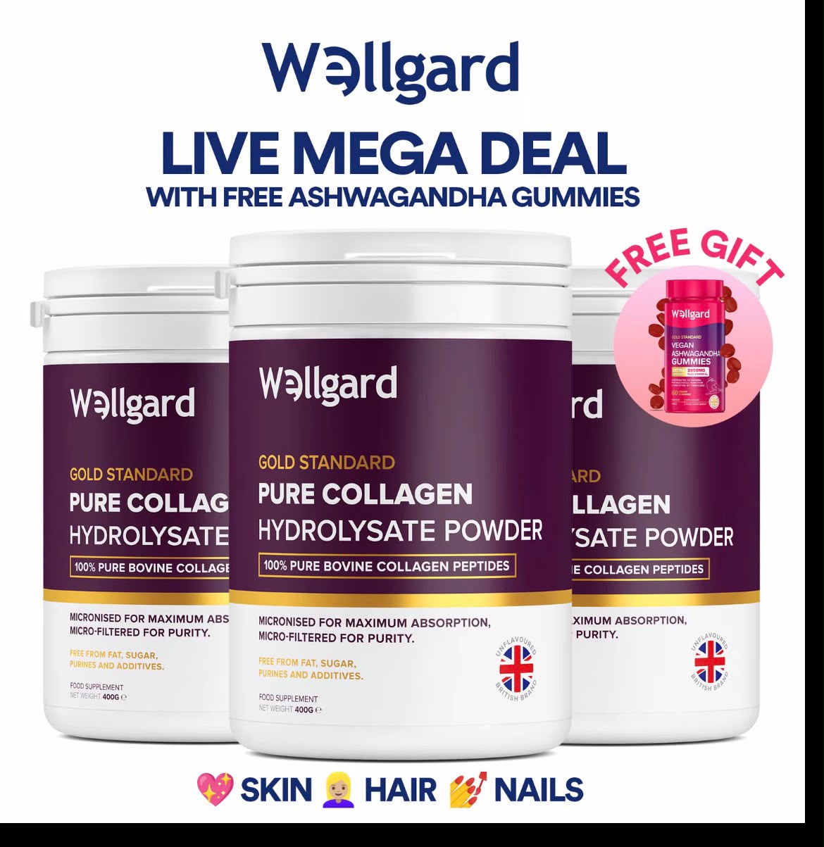Wellgard Pure Collagen Hydrolysate Powder